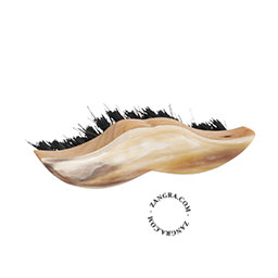 Horn beard brush