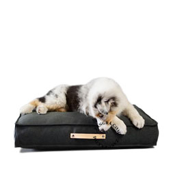 dog-bed-pillow-labbvenn
