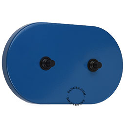 interrupteur bleu avec deux boutons-poussoirs en laiton noir