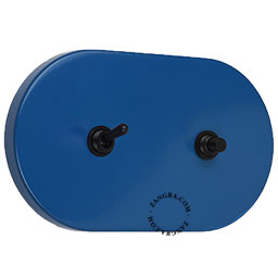 interrupteur avec bouton-poussoir et levier en laiton noir sur façade en acier bleu