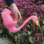 kids_045_001_l_005-watering-can-flamingo-flamant-rose-arrosoir-gieter