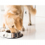 organic dog food – chicken 2 kg