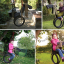 kids.048.002_l_03-balancoire-cheval-pneu-tyre-swing-horse-schommel-band-paard
