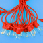 Guirnalda de luces rojas.