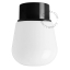 Black ceiling light with glass shade.