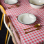 white-enamel-dinner-soup-plate-tableware