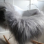 furniture029_001_l-leather-lamsvel-lambskin-peau-mouton-icelandic-03