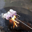 stick-barbecue-campfire-pin-marshmallow