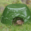 frog-toad-dolomite-shelter