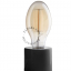 Edison E27 filament bulb in smoked glass