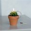 home.050.002_s-candle-bougie-kaars-cactus