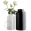 home.075.024.b_l-01-porcelaine-noir-fleurs-flower-pot-vase-porcelaine-black-porselein-vaas-bloemenvaas-zwart