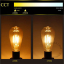 e12_010_lightbulb_070_01_s-ampoule-lamp-bulb-light-zangra-lightbulb-led-filament_lf