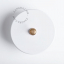 White and brass round pushbutton