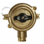 Rotary switch in brass.