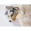 cat-blanket-dog-fur-labbvenn