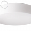 opal glass wall or ceiling light for bathroom or outdoor use