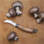 steel-mushroom-stainless-knife-folding-wood-opinel-brush