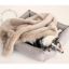 cat-dog-labbvenn-fur-blanket