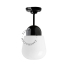 Black porcelain ceiling light with glass shade.