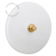 matte white porcelain switch - brass pushbutton
