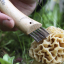 stainless-wood-knife-opinel-folding-mushroom-steel-brush