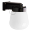 Black porcelain wall light with glass globe for bathroom or outdoor use.