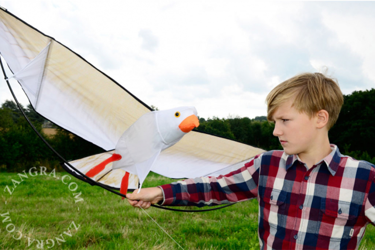 kids.047_l_17-3d-kite-cerf-volant-vlieger