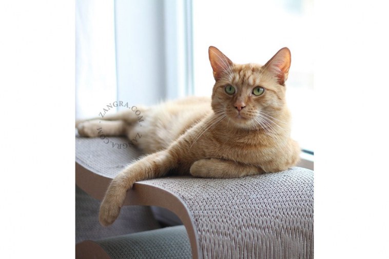 cardboard cat scratcher lounger