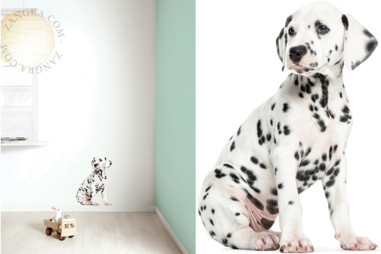 kids038_001_l-wall-sticker-autocollant-dalmatier-dalmatien-dalmatian-puppy-chiot