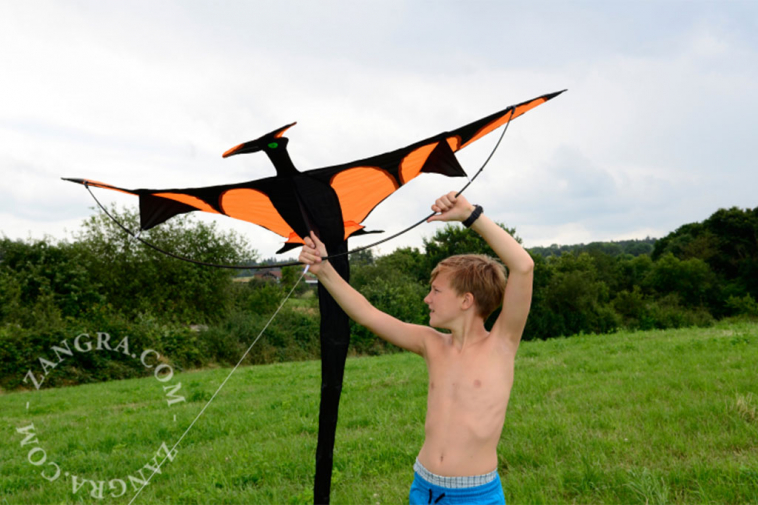 kids.047_l_16-3d-kite-cerf-volant-vlieger