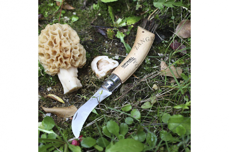knife-opinel-steel-mushroom-brush-wood-folding-stainless