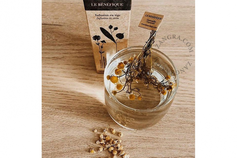 the-infusion-thee-camomille-herbal-kamille-camomile-tea-benefique-tige-tea.001.002_s
