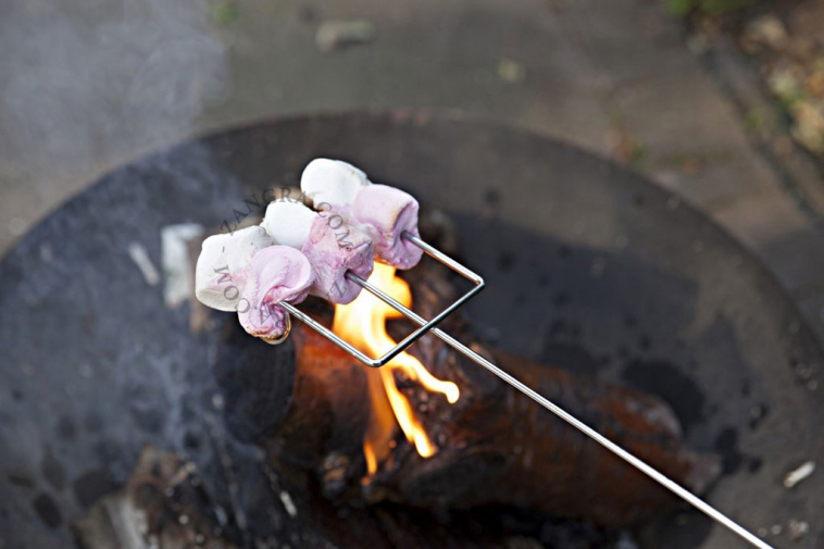 stick-barbecue-campfire-pin-marshmallow