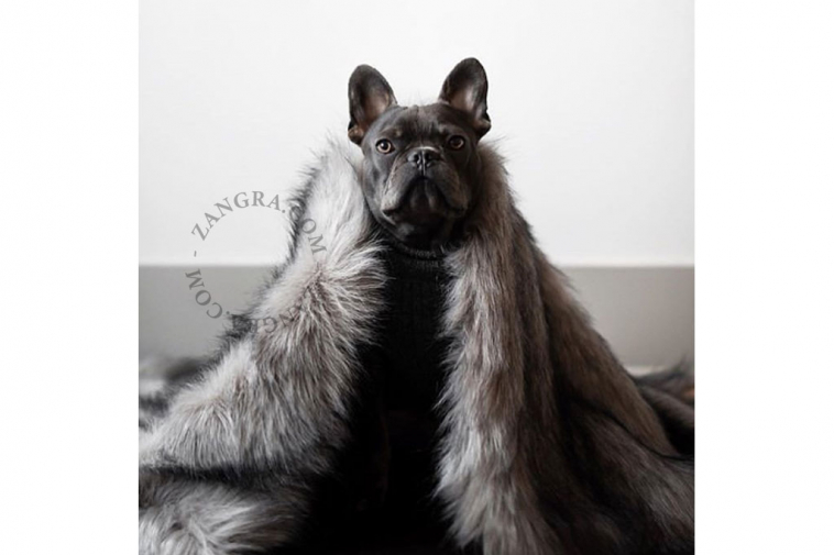 labbvenn-dog-fur-cat-blanket