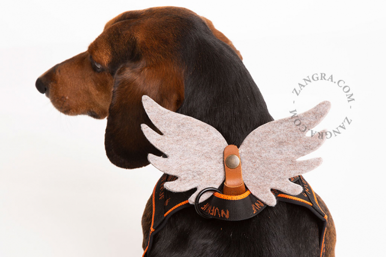 ailes d'ange en feutre pour chien