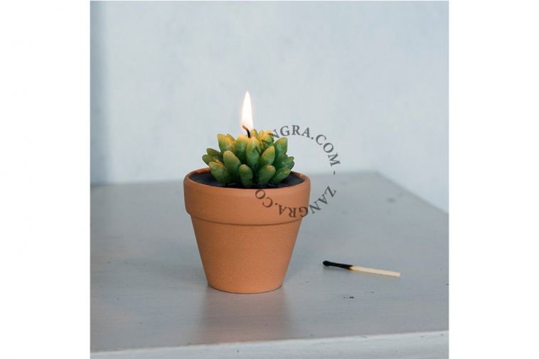 home.050.002_s-candle-bougie-kaars-cactus