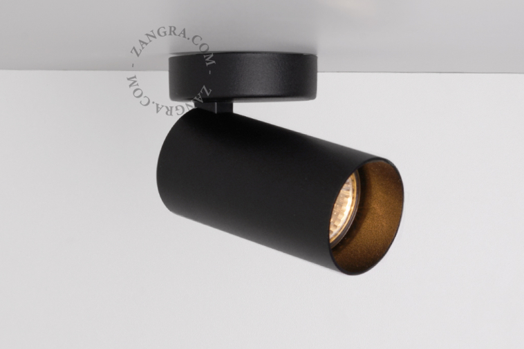 Surface mounted adjustable black spotlight.