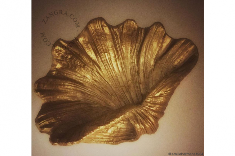 dish-shell-golden-coin