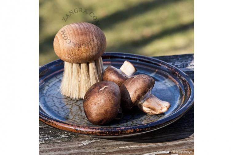 s-brush-champignons_bois-borstel-wood-paddestoel-hout-mushroom-brosse-garden.036.003