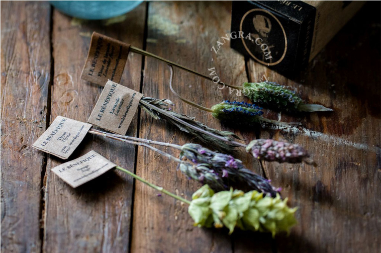 tea.001.001_l_07-benefique-the-thee-herbal-tea-infusion-tige-fleur-lavande-lavendel-lavender-flower
