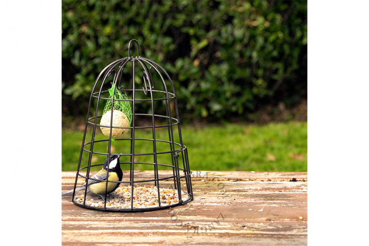 bird feeding cage