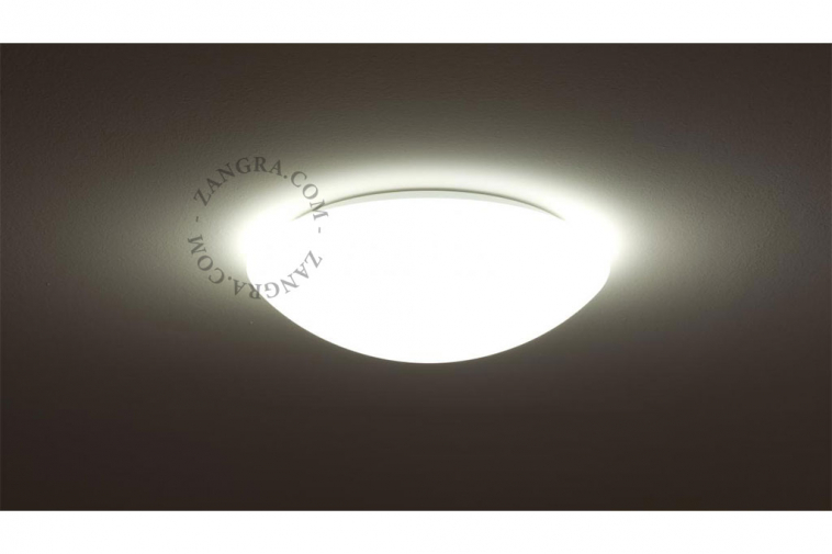 opal glass wall or ceiling light for bathroom or outdoor use