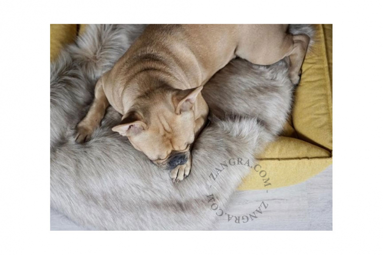blanket-dog-cat-labbvenn-fur