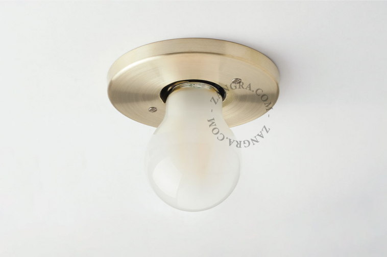 raw brass flush mount spotlight
