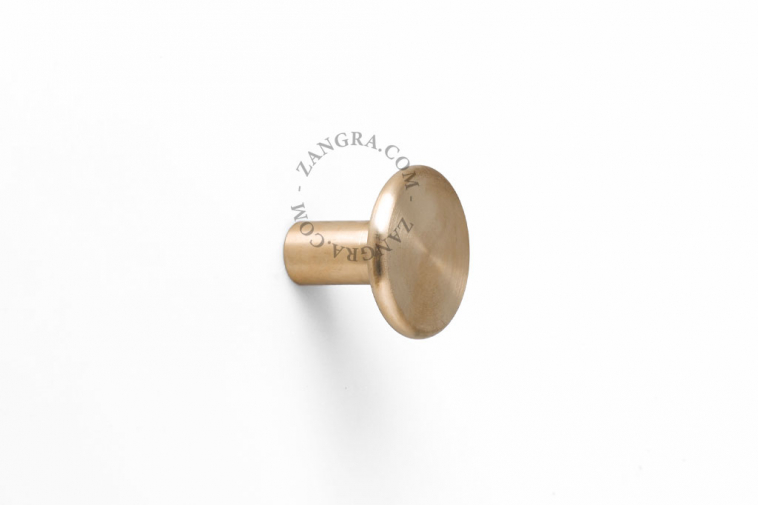 Round brass wall hook or door knob.