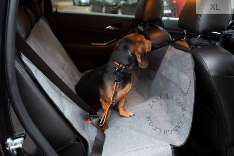 safety belt for dogs