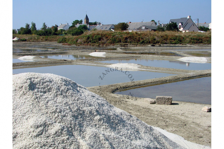 natural-guerande-resource-traditional-harvesting-unrefined-salt