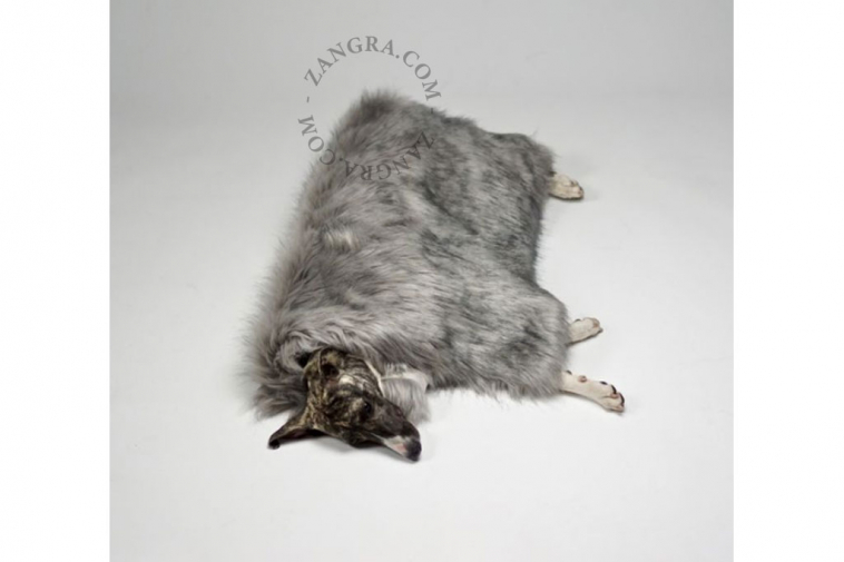 blanket-cat-labbvenn-fur-dog