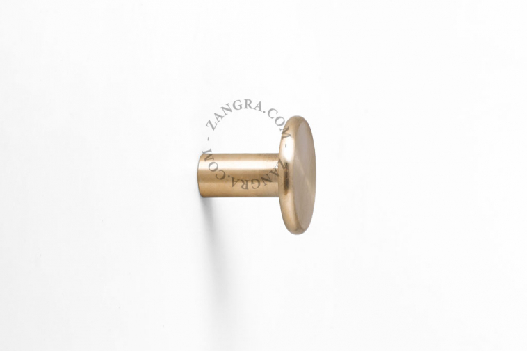 round brass wall hook or door knob